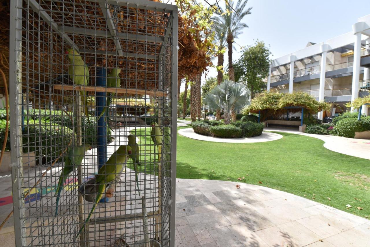 Apartament דירת גן דלוקס Ejlat Zewnętrze zdjęcie